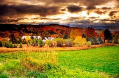 Sonbaharda yapraklar, Vermont, ABD