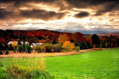 Sonbaharda yapraklar, Vermont, ABD