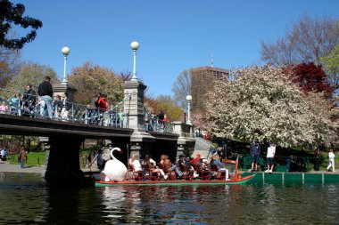 boston halk bahçesi