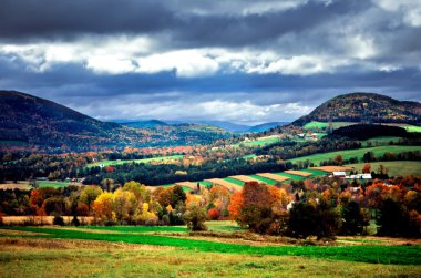 Sonbaharda yapraklar, Vermont, ABD