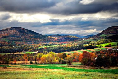 Sonbaharda yapraklar, Vermont, ABD
