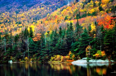 Sonbaharda yapraklar, Vermont, ABD