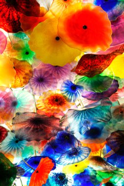 Fiori di como