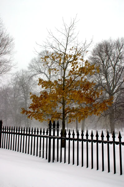 Snömotiv på Beacon Hill, Boston efter blizzard — Stockfoto