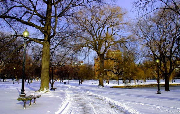 Boston allmän trädgård — Stockfoto