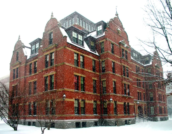 Harvard University campus, USA — Stock Photo, Image