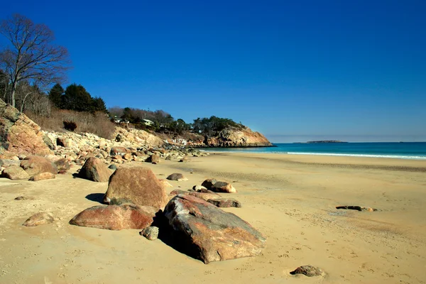 Pień obraz śpiewu Beach, Massachusetts, Stany Zjednoczone Ameryki — Zdjęcie stockowe