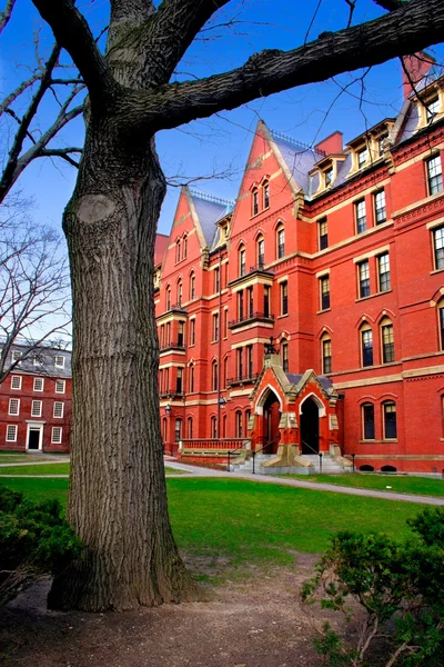 Stock image of Harvard Square, USA — Stock Photo, Image