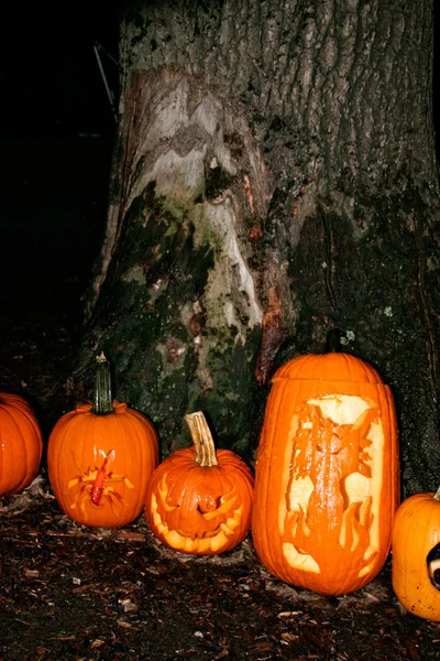 Halloween dýně zobrazují v noci — Stock fotografie