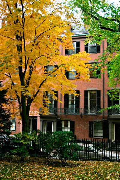 Sonbahar Beacon Hill, Boston, ABD — Stok fotoğraf