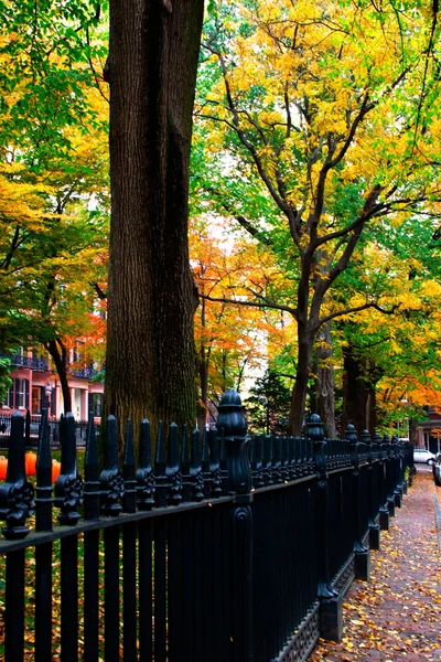 Automne à Beacon Hill, Boston, USA — Photo