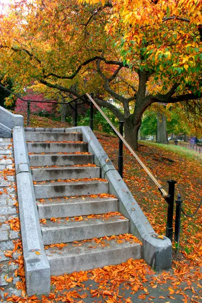 Outono em Boston Jardim Público — Fotografia de Stock