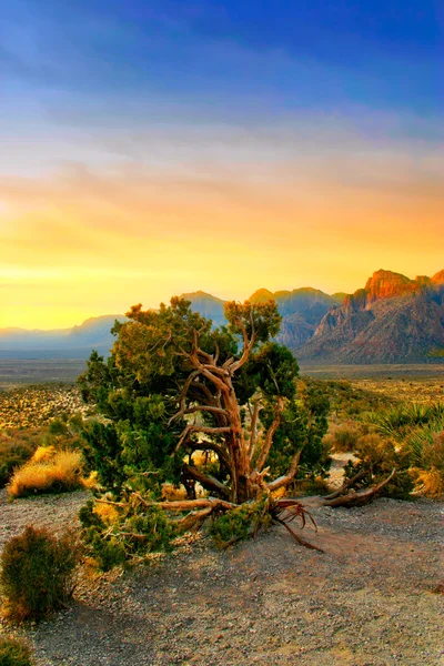 Red Rock Canyon, Nevada, ABD