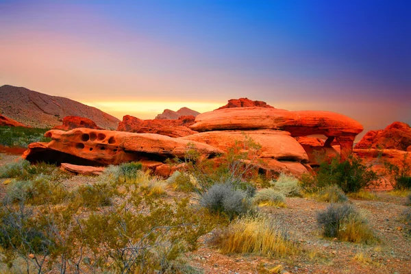 Röd bergskanjon, Nevada, USA — Stockfoto
