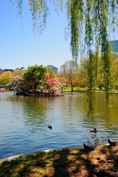 Giardino pubblico di Boston — Foto Stock