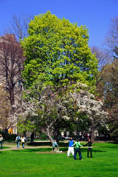 Öffentlicher Garten in Boston — Stockfoto