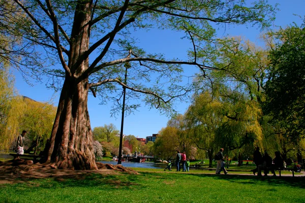 Jardim Público de Boston — Fotografia de Stock