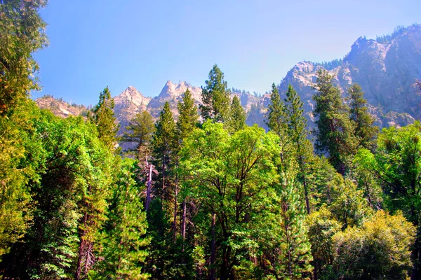 Parque Nacional Yosemite, EE.UU. — Foto de Stock