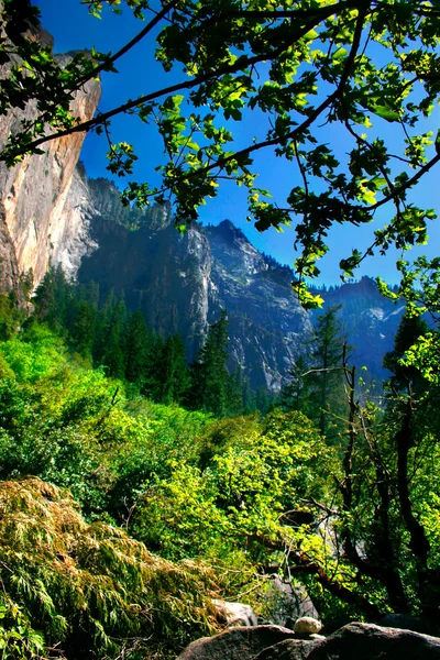 De daling van de bruids sluiers, Yosemite National Park — Stockfoto