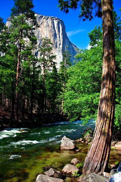El Capitan, parc national Yosemite — Photo