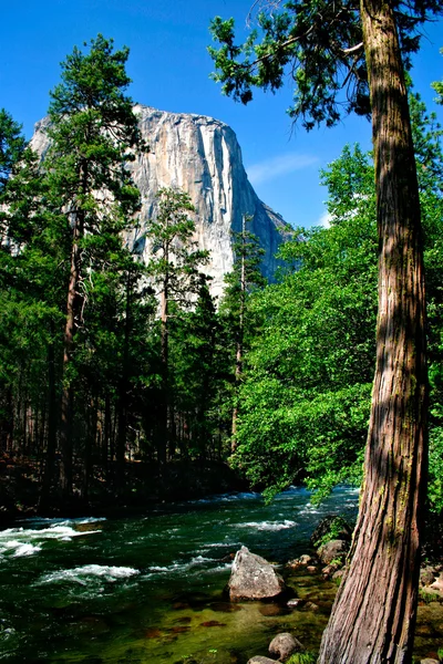 El capitan, yosemite εθνικό πάρκο — Φωτογραφία Αρχείου