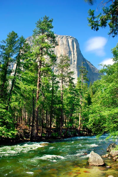 El Capitan Yosemite National Park — Stockfoto