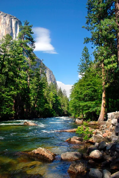 El Capitan, Parque Nacional de Yosemite — Fotografia de Stock