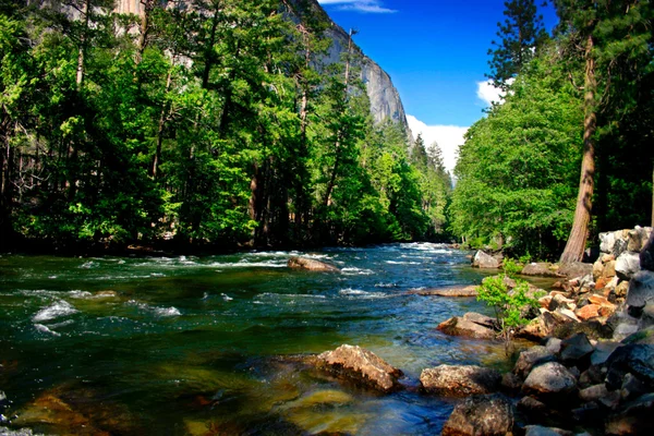 El Capitan, Parco Nazionale dello Yosemite — Foto Stock