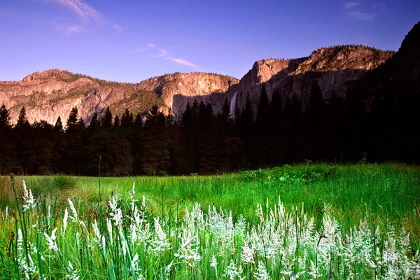 Parc national yosémite, Etats-Unis — Photo