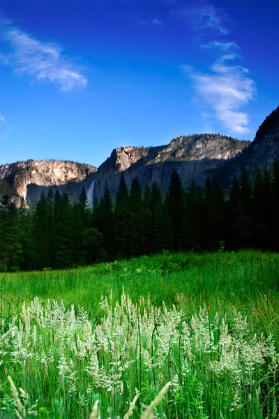 Yosemite Milli Parkı, ABD — Stok fotoğraf