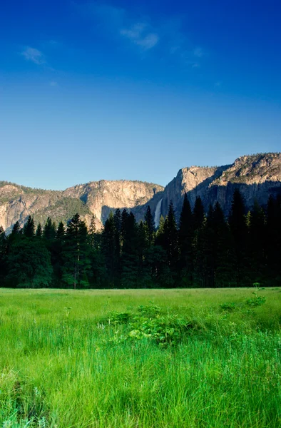 Национальный парк Йосемити, сша — стоковое фото