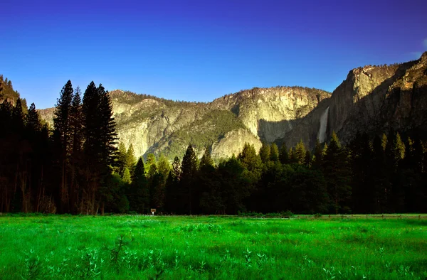 Taman Nasional Yosemite, Amerika Serikat — Stok Foto