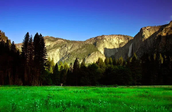 Parque Nacional Yosemite, EE.UU. — Foto de Stock