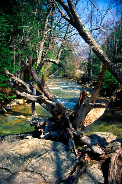 The basin, New Hampshire — Stock Photo, Image