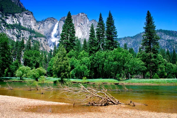 Park Narodowy Yosemite, usa — Zdjęcie stockowe