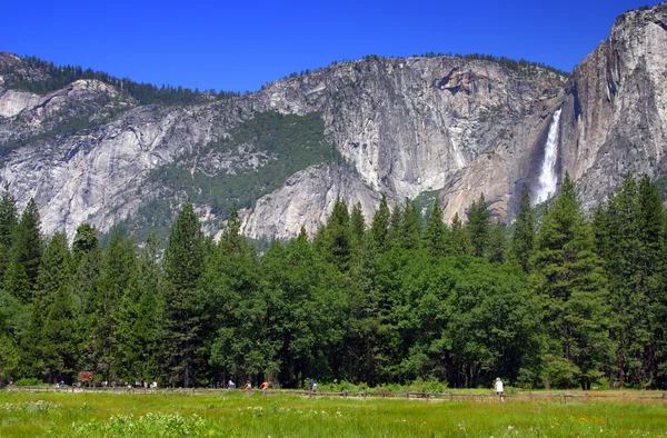 Yosemite πέφτει, yosemite εθνικό πάρκο — Φωτογραφία Αρχείου