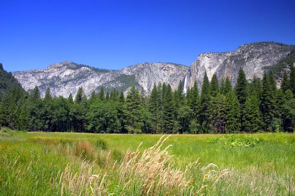 Yosemite Nationaalpark, Verenigde Staten — Stockfoto