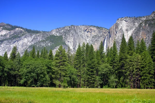 Parque Nacional Yosemite, EE.UU. —  Fotos de Stock