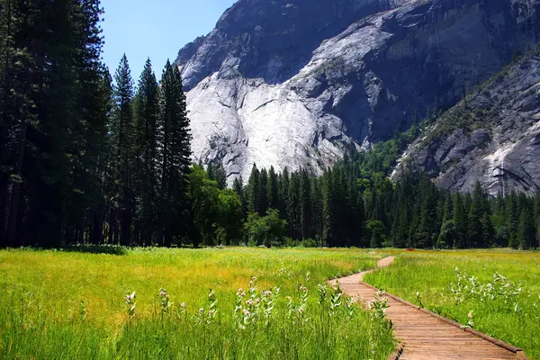 Park Narodowy Yosemite, usa — Zdjęcie stockowe