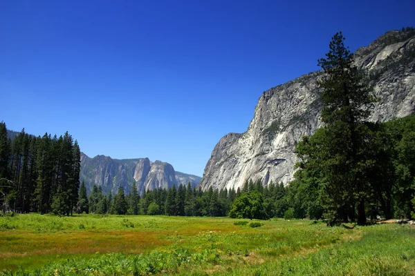 Parque Nacional Yosemite, EE.UU. — Foto de Stock