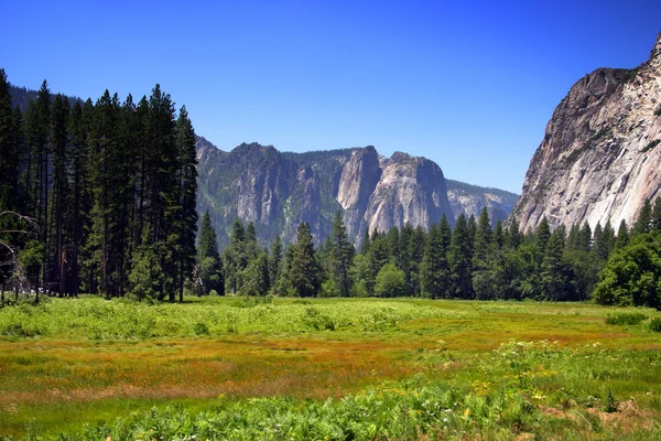 Yosemite Nationalpark, Vereinigte Staaten — Stockfoto