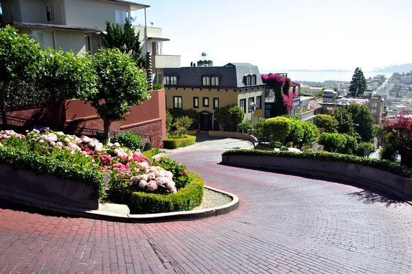 Lombard Street, San Francisco — Foto Stock