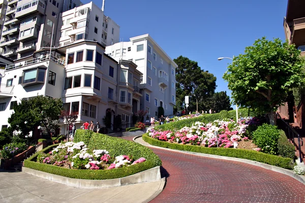 Lombard street, Σαν Φρανσίσκο — Φωτογραφία Αρχείου