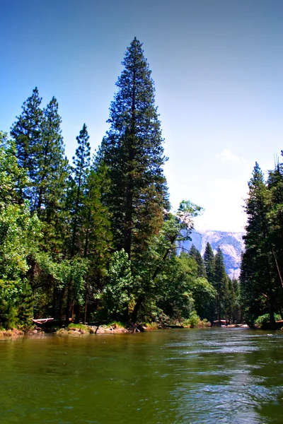 Taman Nasional Yosemite, Amerika Serikat — Stok Foto