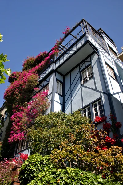 Lombard Street, San Francisco — Foto Stock