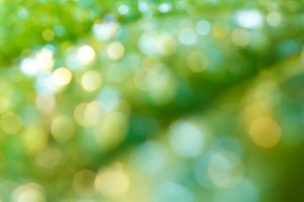 yeşil ve altın dairesel bokeh soyut
