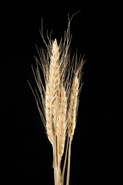 Tahta masada bir hediye.