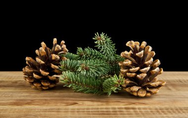 ahşap arka plan ağaç dalı