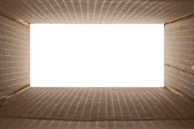 beyaz arkaplanda karton kutu