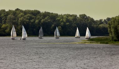 birçok Regattalar Nehri üzerinde